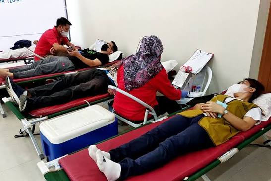 Syarat dan Manfaat Donor Darah
