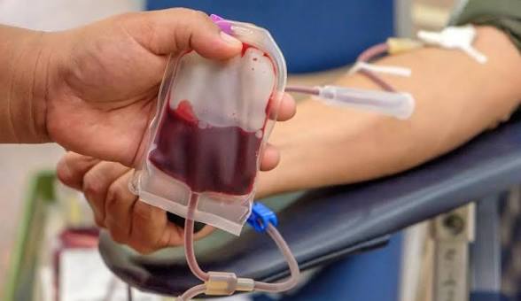 7 Manfaat Donor Darah bagi Kesehatan Tubuh